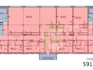 Фотография Аренда магазина, 591 м² , Ольгинская дорога 3/20  №6